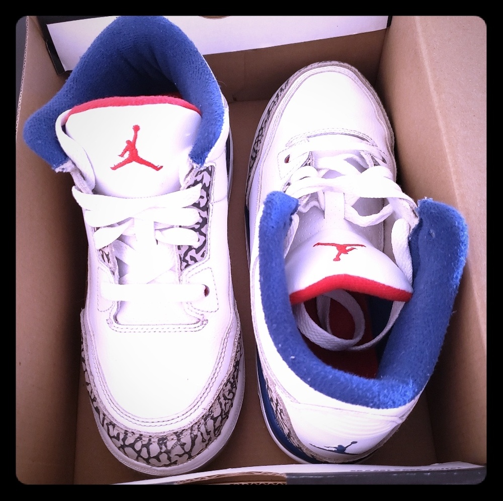 Air Jordan 3 True Blue (2016 Release)